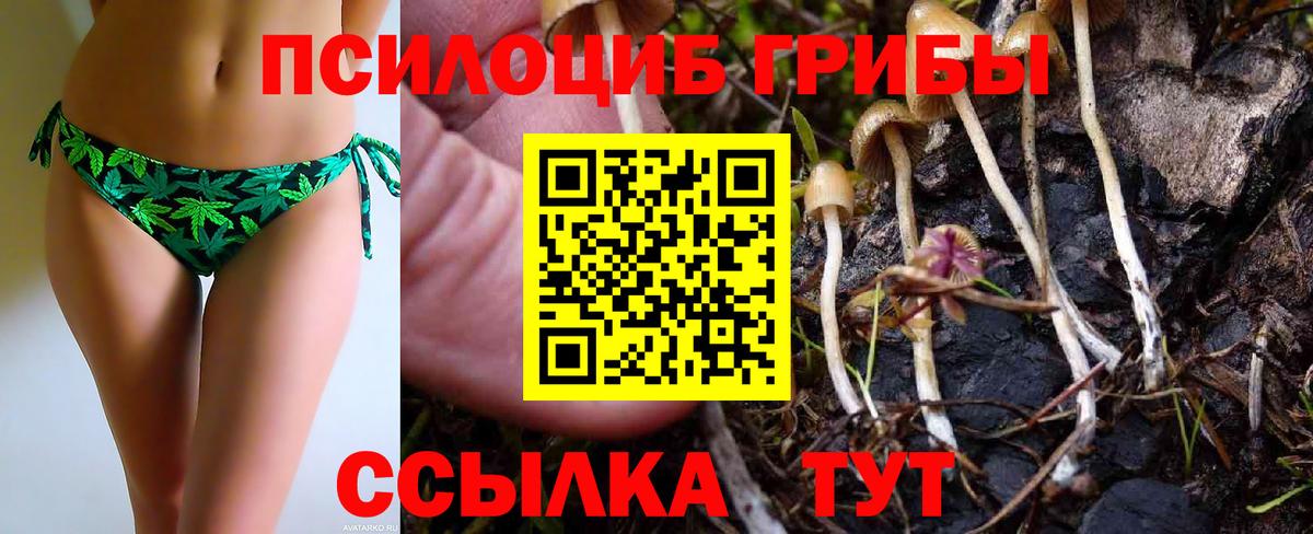 Галлюциногенные грибы мухоморы Анжеро-Судженск