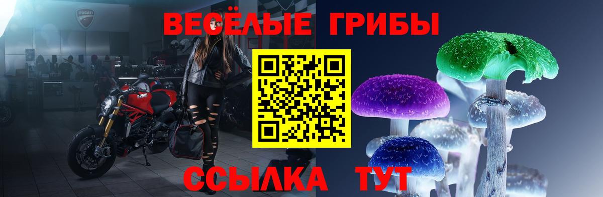 Псилоцибиновые грибы прущие грибы  Галлюциногенные грибы Cubensis  Вход с VPN  Анжеро-Судженск 